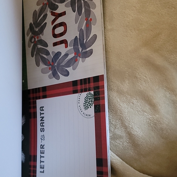 Paper, scrapbooking paper, Christmas,  peace and Joy, brand is Recollections - Picture 10 of 13